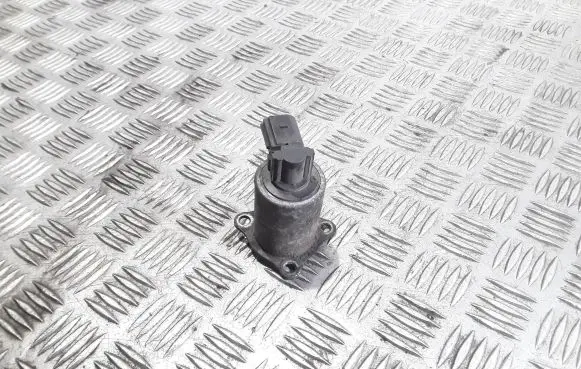 Renault Megane II EGR valve