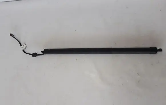 Tailgate strut