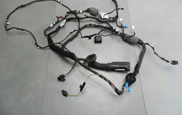 BMW 8 G15 Front door wiring loom 7928101