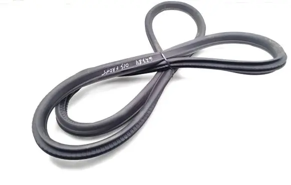 BMW i4 Front door rubber seal 