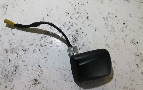 Dodge Challenger Radio antenna 40908H
