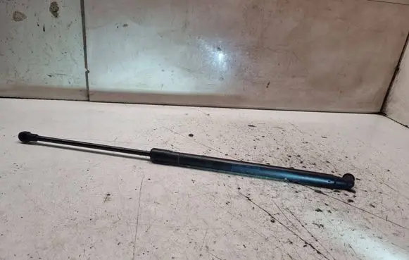Tailgate/trunk strut/damper