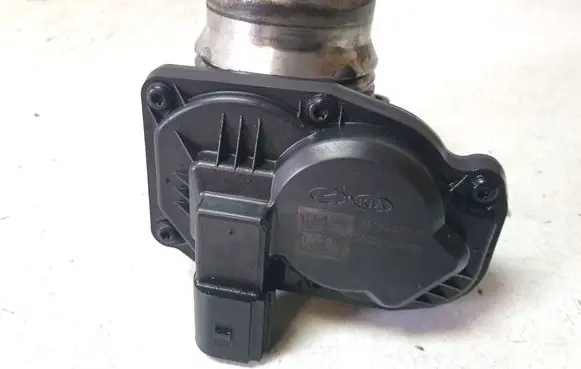 KIA Sorento Throttle valve 351002R000