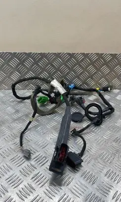 Volvo S60 Front door wiring loom 30728406