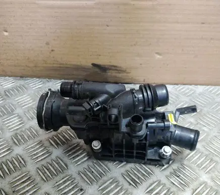 Thermostat/thermostat housing