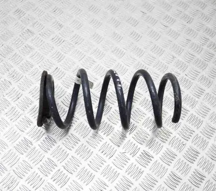 Tesla Model 3 Rear coil spring 104447291E