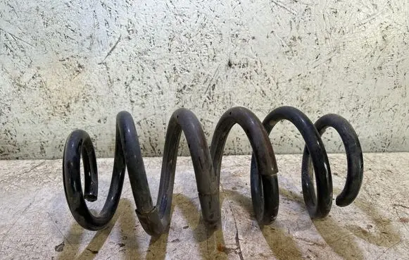 Rear coil spring