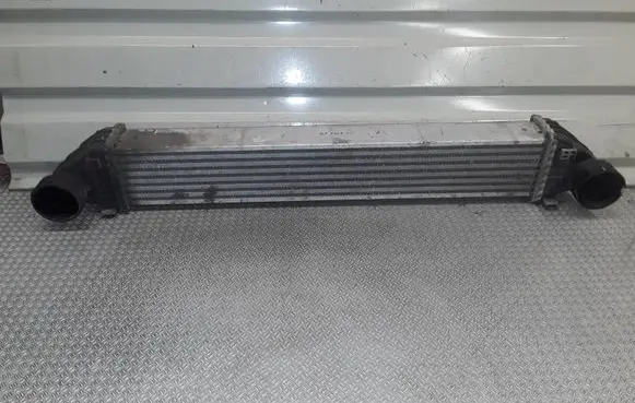 Mercedes-Benz B W245 Intercooler radiator A1695000000