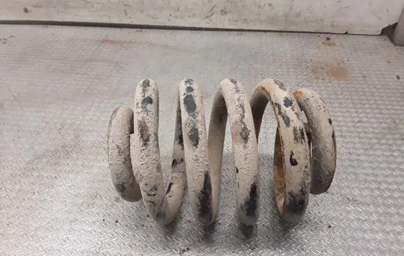 Rear coil spring