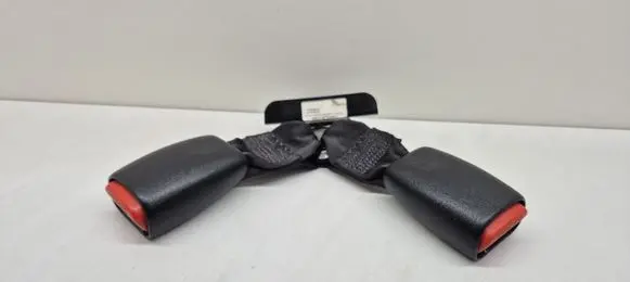 Chrysler 300 - 300C Rear seatbelt buckle 