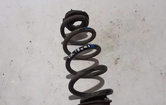 Renault Koleos II Rear coil spring 550205HA0B