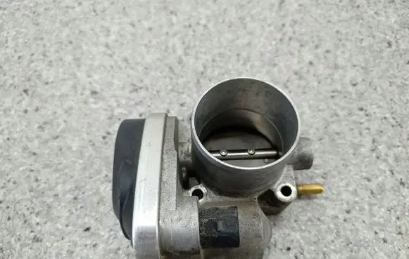 Renault Megane II Throttle body valve