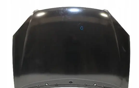 Citroen C5 Engine bonnet/hood 7901H9