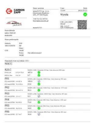 Subaru Forester SH Fuel injector 16613AA03