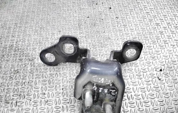 Renault Clio III Rear door upper hinge
