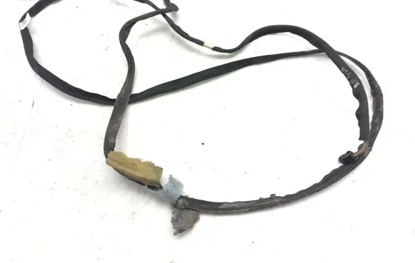 Renault Avantime Other wiring loom 3217