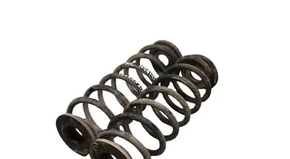 Rear coil spring