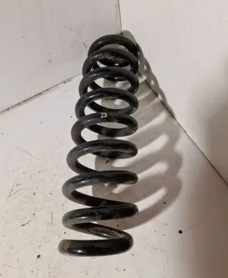 Rear coil spring