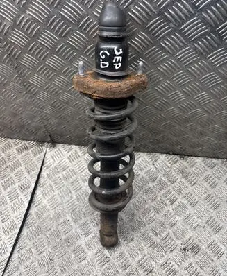 Jeep Patriot Rear shock absorber with coil spring 