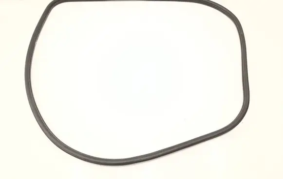 BMW X3 G01 Front door rubber seal 7393423
