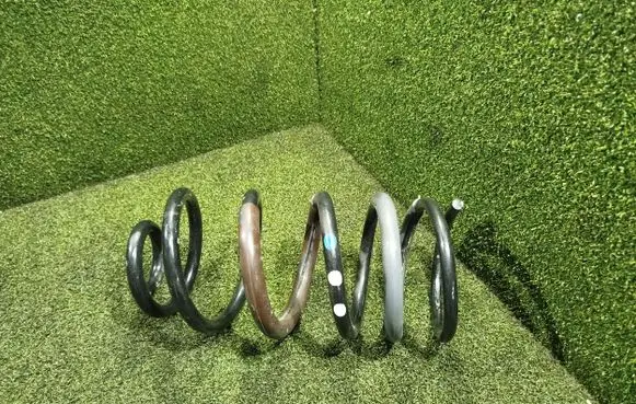 Renault Kangoo III Rear coil spring