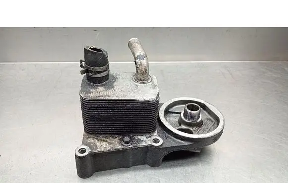 Ford Focus Oil filter cover 1S4Q6B624AC