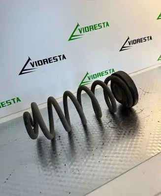 Rear coil spring