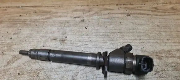 Volvo S60 Fuel injector 0445110076