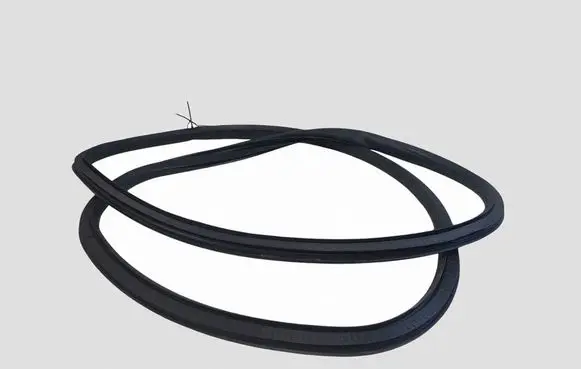 Opel Insignia A Front door rubber seal