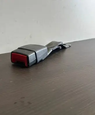 Nissan Leaf I (ZE0) Middle seatbelt buckle (rear) 2094330