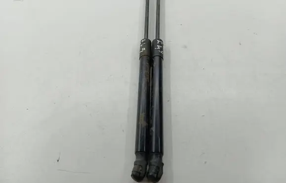 Renault Kadjar Tailgate/trunk strut/damper 904516026R 1869200565N