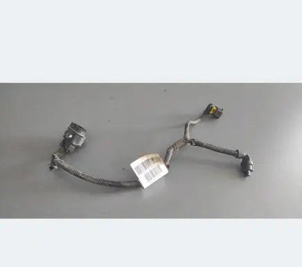 Opel Zafira C Other wiring loom 55577039