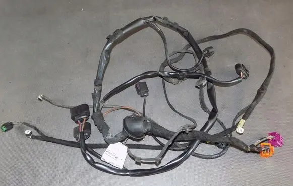 Audi A6 S6 C6 4F Other wiring loom 4F1971271AK