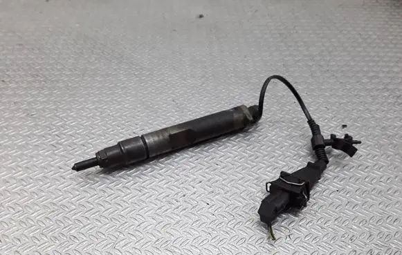 Seat Ibiza II (6k) Fuel injector 038130202B