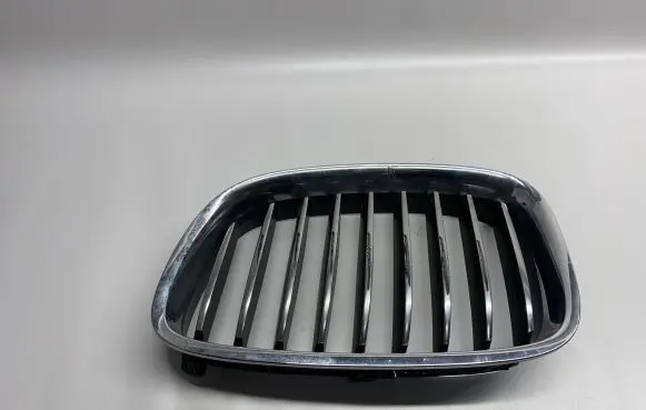 BMW 5 GT F07 Front grill 7200169