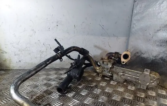 Skoda Octavia Mk2 (1Z) EGR valve 03G131513J 5255787