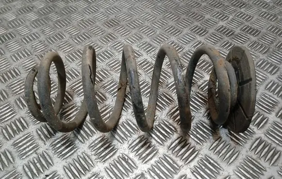 Rear coil spring