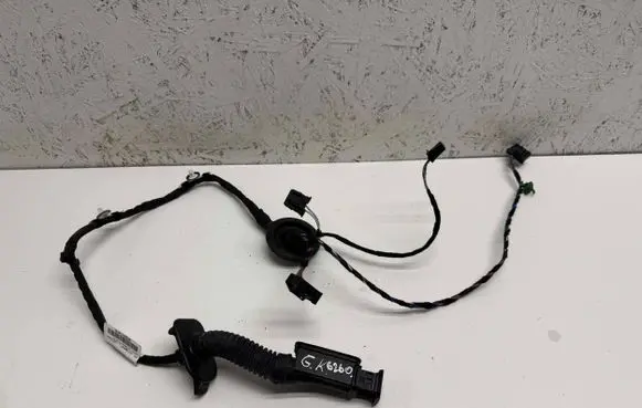 Rear door wiring loom