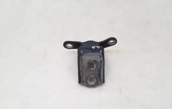 Rear door lower hinge