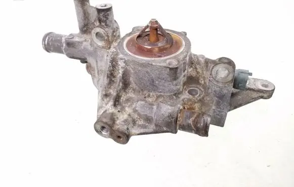 Thermostat/thermostat housing