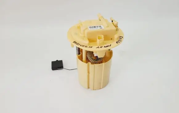 Peugeot Partner In-tank fuel pump 9684995280