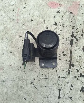 Alarm system siren