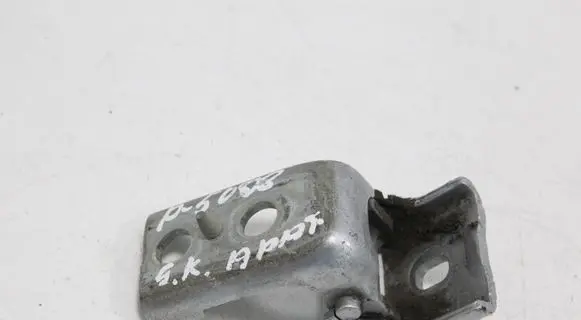 Peugeot 5008 Rear door lower hinge