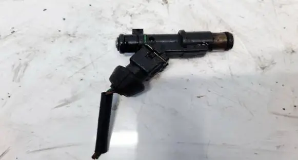 Citroen Xsara Picasso Fuel injector 