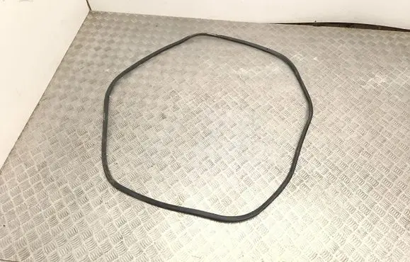 Citroen C4 III e-C4 Rubber seal rear door 9833317780