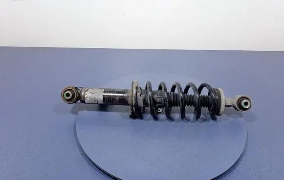 Mercedes-Benz 508 Rear shock absorber with coil spring 9830038280
