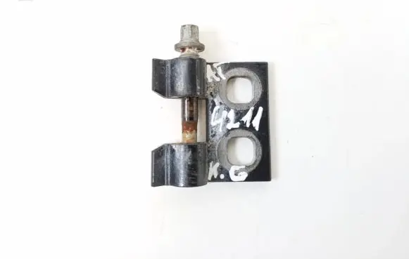Rear door lower hinge