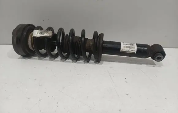 BMW X3 F25 Rear shock absorber/damper F25H010BL 6796317 814904006279