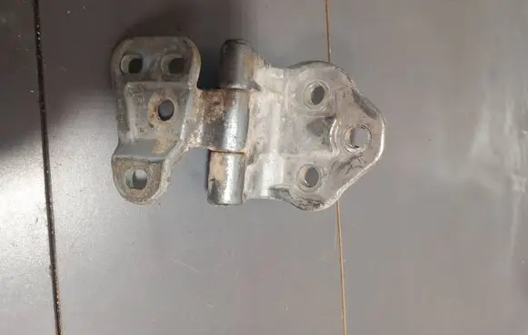 Rear door lower hinge