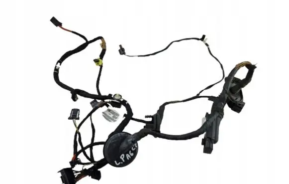 Front door wiring loom